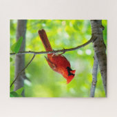 Mooie, heldere rode kardinaal in een boom legpuzzel (Horizontaal)