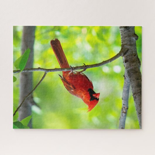 Mooie, heldere rode kardinaal in een boom legpuzzel (Horizontaal)