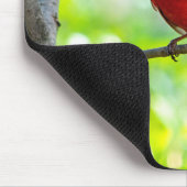 Mooie, heldere rode kardinaal in een boom muismat (Hoek)