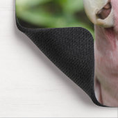 Mooie, heldere roze en witte papegaai muismat (Hoek)