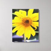 Mooie heldergele zonnebloem Close-up Canvas Afdruk (Voorkant)