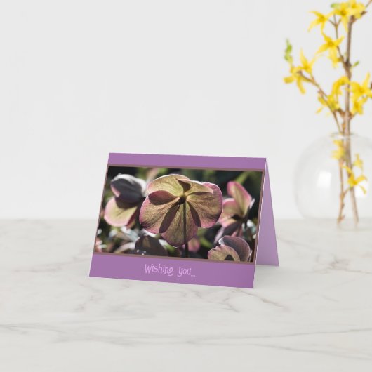 Mooie Hellbore Bloem Verjaardag Kaart (Gele Bloem)