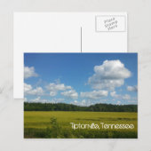 Mooie hemel boven Tiptonville Briefkaart (Voorkant / Achterkant)