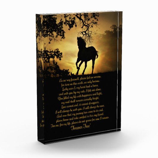 Mooie herdenkingsonderscheiding fotoblokken (Links)