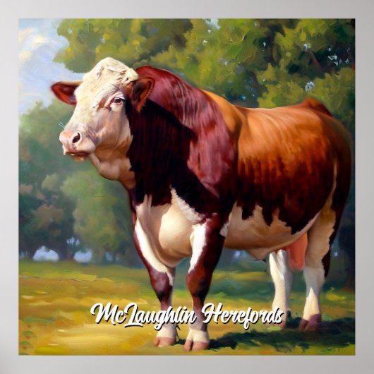Mooie Hereford Bull Poster (Voorkant)