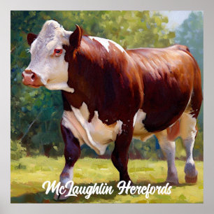 Mooie Hereford Bull Poster
