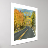 Mooie herfst Boom Lined Road Foto Folie Afdrukken (Laagn)