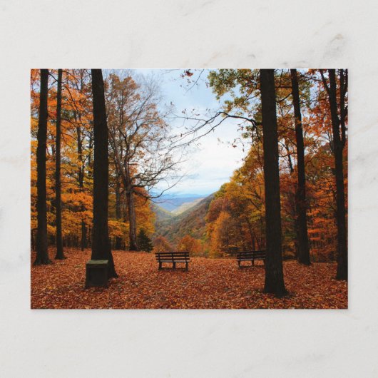 Mooie Herfst Briefkaart (Voorkant)