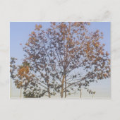 Mooie Herfst Briefkaart (Voorkant)