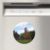 Mooie Herfst dag... Magneet (Insitu (Vaatwasser))