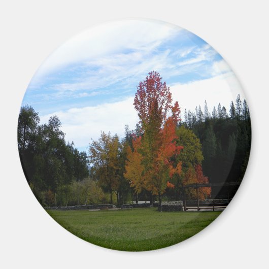 Mooie Herfst dag... Magneet (Voorkant)