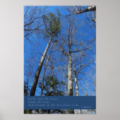 Mooie Herfst dag Poster (Voorkant)