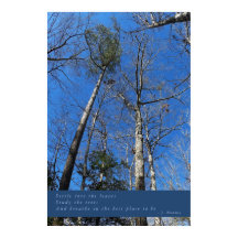 Mooie Herfst dag Poster