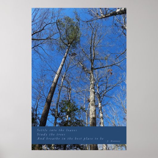 Mooie Herfst dag Poster (Voorkant)