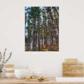 Mooie herfst dennenbomen poster (Keuken)