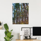 Mooie herfst dennenbomen poster (Thuiskantoor)