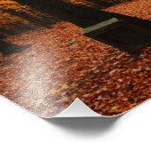 Mooie Herfst Foto Afdruk (Hoek)