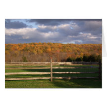 Mooie herfst-kleurenfotokaart