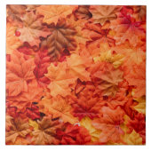 Mooie herfst Leaves Tegeltje (Voorkant)