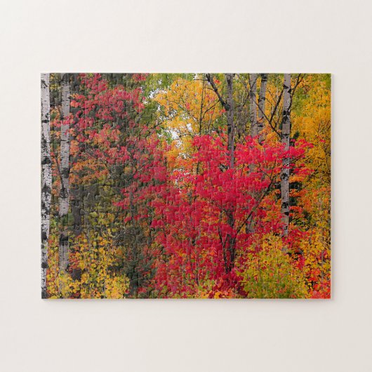 Mooie herfst legpuzzel (Horizontaal)