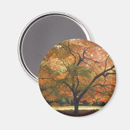 Mooie Herfst Magneet (Voorkant / Achterkant)