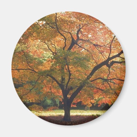 Mooie Herfst Magneet (Voorkant)