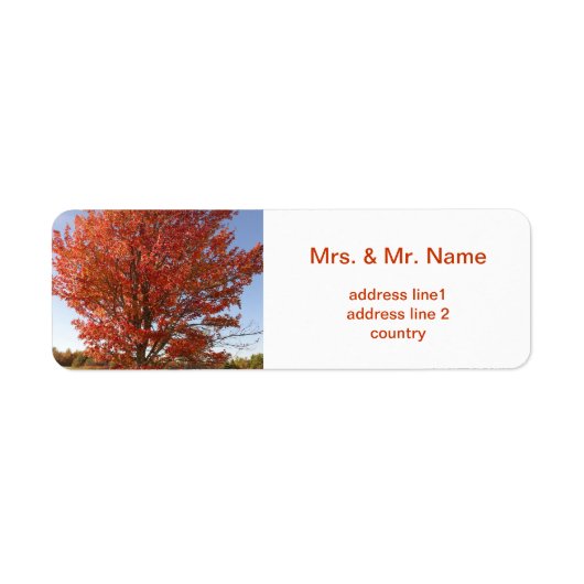 Mooie Herfst Maple Tree in Red Leaves Etiket (Voorkant)