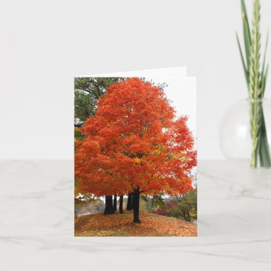 Mooie Herfst Notecard Kaart (Voorkant)