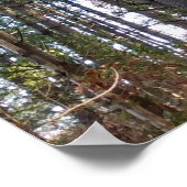 Mooie herfst pijnbomen poster (Hoek)