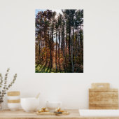 Mooie herfst pijnbomen poster (Keuken)