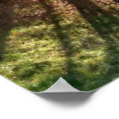 Mooie herfst pijnbomen poster (Hoek)