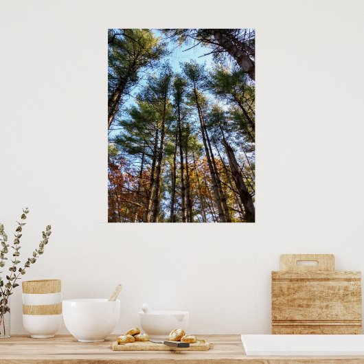 Mooie herfst pijnbomen poster (Keuken)