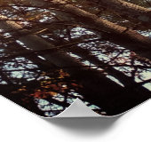 Mooie herfst pijnbomen poster (Hoek)