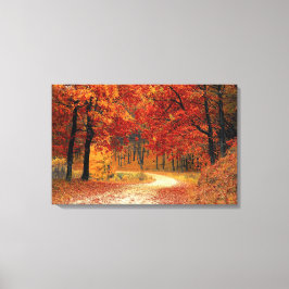 Mooie Herfst Road Canvas Print