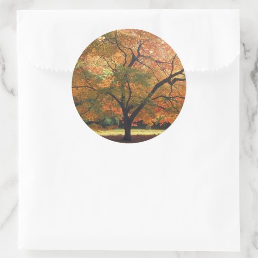 Mooie Herfst Ronde Sticker (Tas)