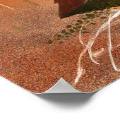 Mooie herfst Rozen Poster (Hoek)