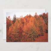 Mooie herfst Trees Wedding Kaart (Achterkant)