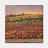 Mooie Herfst Vineyard Art Magnet (Voorkant)