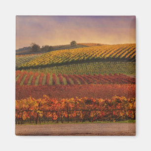 Mooie Herfst Vineyard Art Magnet