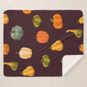 Mooie herfstachtergrond met kleurrijke pompoenen sherpa deken (Voorkant (horizontaal))