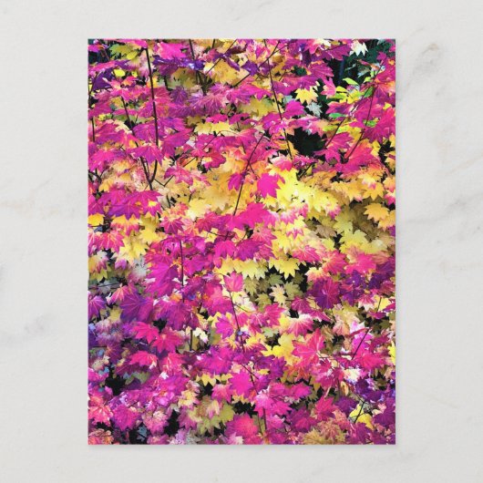 Mooie herfstbladeren briefkaart (Voorkant)