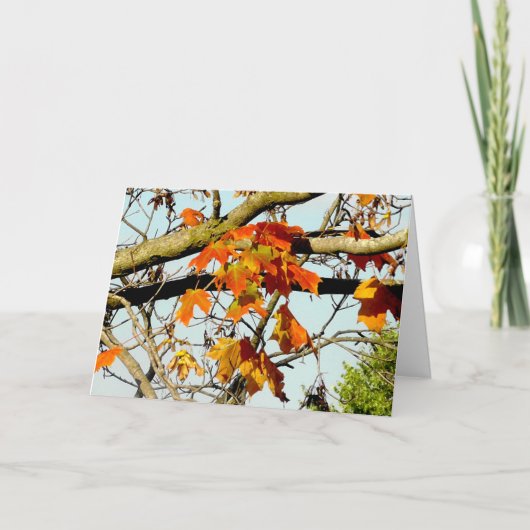 Mooie herfstbladeren en herfstzegens kaart (Voorkant)