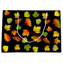 Mooie herfstbladeren op zwart