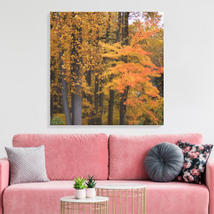 Mooie herfstbladeren van tulpenbomen canvas afdruk