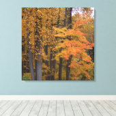 Mooie herfstbladeren van tulpenbomen canvas afdruk (Insitu (Houten vloer))