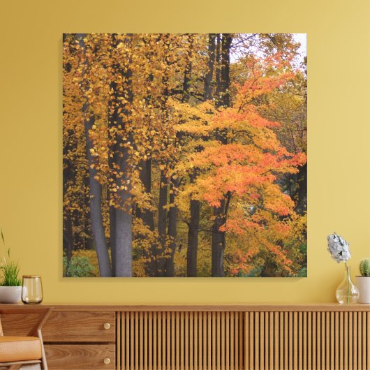 Mooie herfstbladeren van tulpenbomen canvas afdruk (Insitu (Woonkamer))