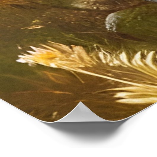 Mooie herfstbloemen poster (Hoek)