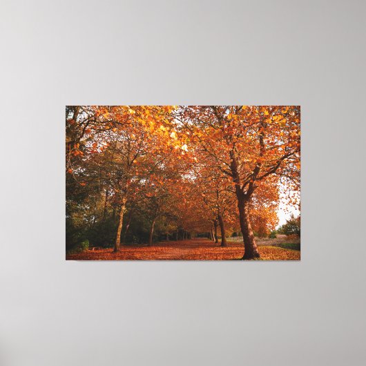 Mooie herfstbomen canvas afdruk (Voorkant)