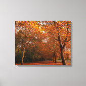 Mooie herfstbomen canvas afdruk (Voorkant)
