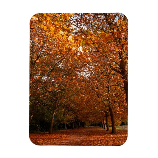 Mooie herfstbomen magneet (Verticaal)